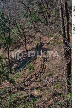 阿波の土柱ハイキングコース 137616615