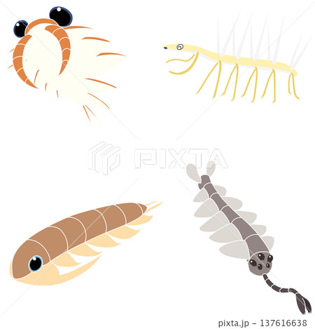 カンブリア紀生物の素材セット　主線なし 137616638