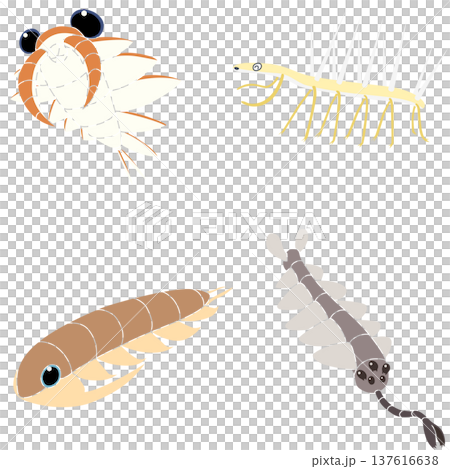 カンブリア紀生物の素材セット　主線なし 137616638