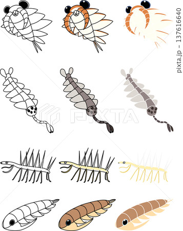 カンブリア紀生物の素材セット 137616640