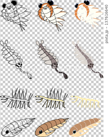 カンブリア紀生物の素材セット 137616640