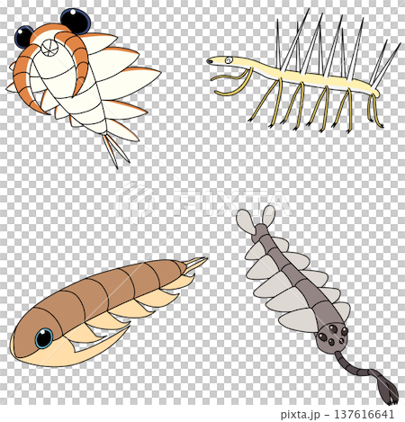 寒武紀生物材料套裝 寒武紀生物材料套裝 137616641