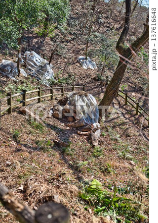 阿波の土柱ハイキングコース 137616648