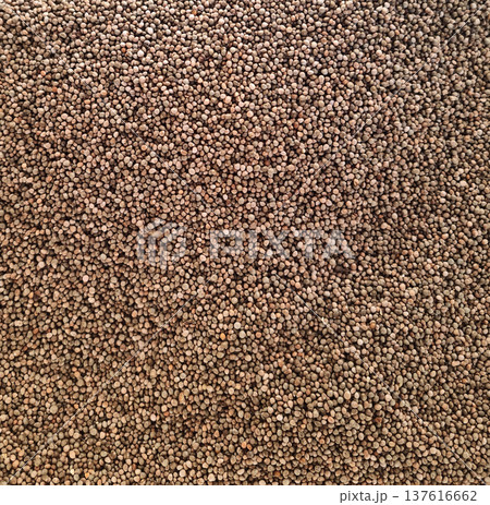 It is a collection of harvested perilla seeds. It is a collection of harvested perilla seeds. 137616662