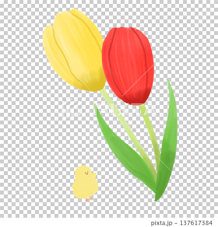 Chicks and Tulips Chicks and Tulips 137617384