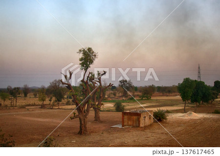 Small fields alternate with ponds, roads and boundary wood belt 137617465