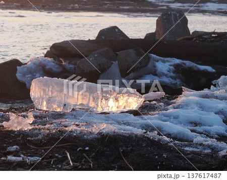 大楽毛海岸のジュエリーアイス 137617487