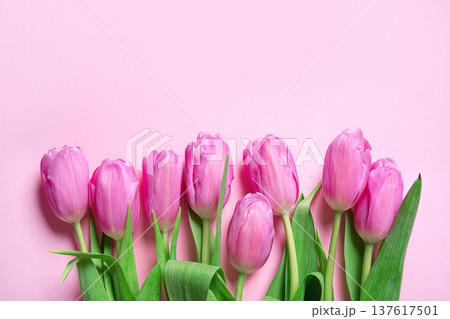 Pink tulips on pink pastel background. Spring Floral Mockup for Greeting Cards or Invitation. 137617501