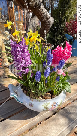 Spring flowers in a vintage ceramic bowl on a wooden table, featuring hyacinths and daffodils 137617533