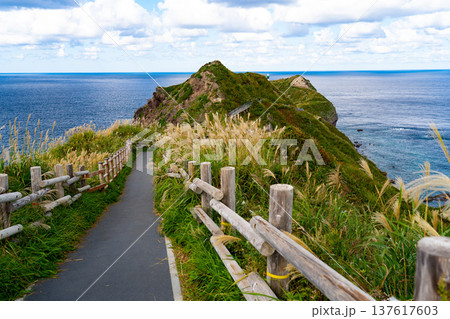 北海道 神威岬 北海道 神威岬 137617603