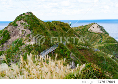 北海道 神威岬 北海道 神威岬 137617604