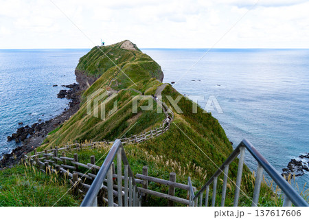北海道 神威岬 北海道 神威岬 137617606