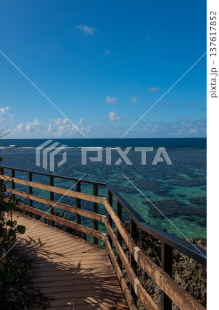 サンゴ礁の海を望む木製ボードウォークの南国風景 サンゴ礁の海を望む木製ボードウォークの南国風景 137617852