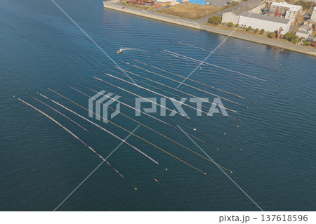 海面に整列する養殖棚と作業船の空撮風景　幾何学的な模様を描く日本の水産業 137618596
