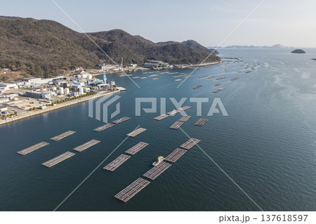 瀬戸内海の豊かな自然と産業が共存する養殖いかだと沿岸工業地帯の広角空撮 137618597