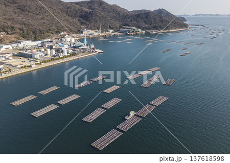 瀬戸内海に広がる牡蠣の養殖いかだと沿岸の工業地帯・工場の空撮風景 137618598