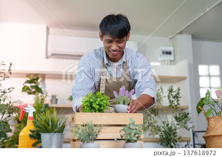 Sustainability: Arranging potted plants in a wooden crate Sustainability: Arranging potted plants in a wooden crate 137618972