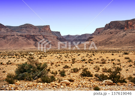 Moroccan desert landscape forming a vast canyon Moroccan desert landscape forming a vast canyon 137619046