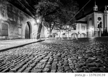 Narrow cobbled street in old medieval town with illuminated houses by vintage street lamps, Novy svet, Prague, Czech Republic. Night shot. Black and white image. 137619139