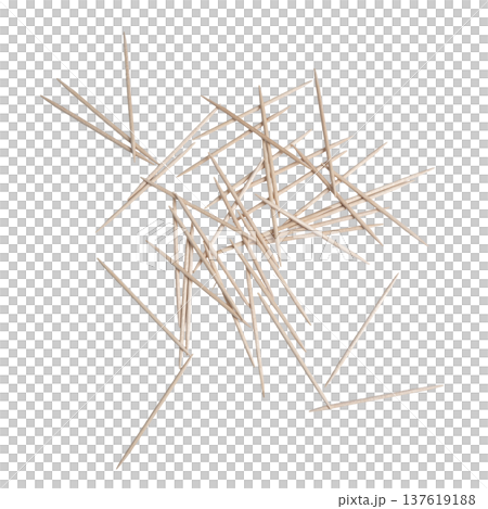 some toothpicks scattered 137619188