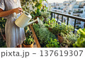 Woman watering plants on a balcony garden with various herbs and greenery in pots, cityscape visible in the background 137619307