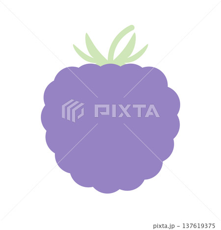 ブラックベリーのシンプルアイコン（パープル・フラット） 137619375