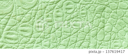 Light green and mint leather texture background. Embossed crocodile skin textile surface macro Light green and mint leather texture background. Embossed crocodile skin textile surface macro 137619417