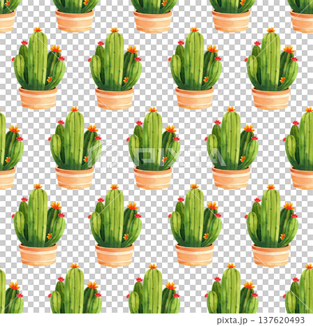 Seamless pattern with cacti in decorative brown pots. Watercolor illustration of houseplants for home and garden, decor, and fabric. Seamless pattern with cacti in decorative brown pots. Watercolor illustration of houseplants for home and garden, decor, and fabric. 137620493