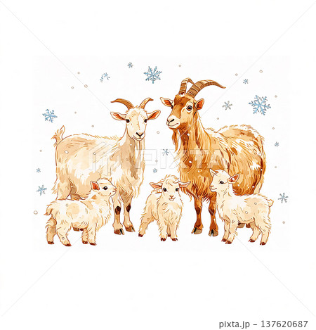 Group of goats standing in the snow during winter season with small kids around in a rural setting Group of goats standing in the snow during winter season with small kids around in a rural setting 137620687