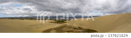 dunes of Maspalomas dunes of Maspalomas 137621829