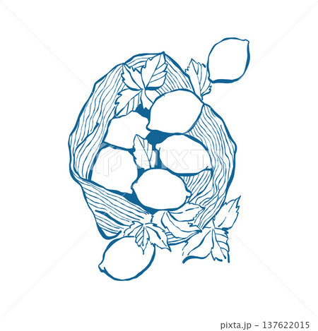 Illustration of lemons and leaves in a wicker beach bag. Citrus vector outline clip art in blue. Summer composition with lemons.  137622015