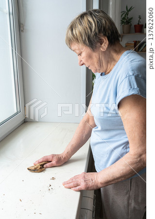 Close-up of an elderly woman's hands scrubbing dirt from a bench sill with a brown natural cloth. Concept of home cleaning and daily care using natural products 137622060