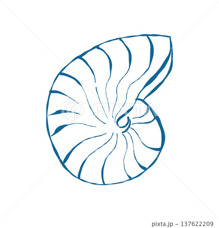 Round seashell in doodle style. Sea snail shell in blue. Twisted spiral shell. Hand drawn vector outline illustration isolated on white background. Round seashell in doodle style. Sea snail shell in blue. Twisted spiral shell. Hand drawn vector outline illustration isolated on white background. 137622209
