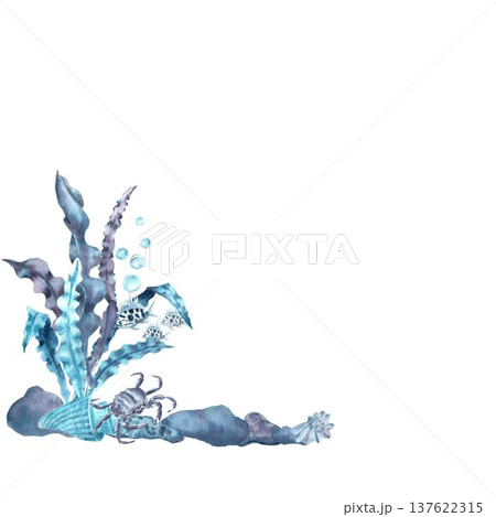 A composition of blue, gray, and silver seaweed with leaves, shells, sea urchins, fish, a crab, and bubbles, hand-drawn in watercolor on an isolated background. Simple clip art of underwater objects. 137622315