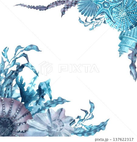 A square frame of blue, gray, and silver seaweed with leaves, shells, and sea urchins, hand-drawn in watercolor on an isolated background. Simple clip art of underwater objects for design. A square frame of blue, gray, and silver seaweed with leaves, shells, and sea urchins, hand-drawn in watercolor on an isolated background. Simple clip art of underwater objects for design. 137622317