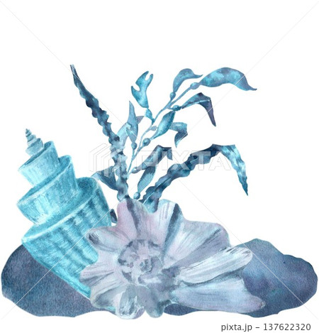 A square marine composition of blue and silver shells and seaweed on rocks, hand-drawn in watercolor on an isolated background. Simple clip art of underwater objects for design. 137622320