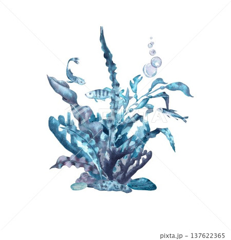 A composition of blue, gray, and silver algae with leaves on rocks with fish and bubbles, hand-drawn in watercolor on an isolated background. Simple clip art of underwater elements for design. A composition of blue, gray, and silver algae with leaves on rocks with fish and bubbles, hand-drawn in watercolor on an isolated background. Simple clip art of underwater elements for design. 137622365
