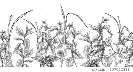 Nettle wild herb black white vector seamless border. Hand drawn botanical repeat illustration of meadow plants. Monochrome foliate background pattern for textile design and stationery wallpaper. 137622551
