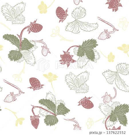 Summer vector seamless pattern with strawberry outline. Botanical hand drawn red berry silhouette. Decorative fabric print background with fruit, leaf and flower. Fresh ripe berry for textile design. 137622552