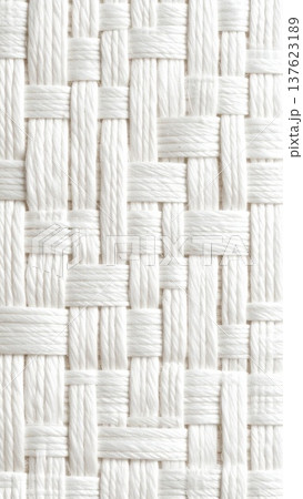 Close Up White Woven Texture Background Detailed Fiber Intertwined Pattern Close Up White Woven Texture Background Detailed Fiber Intertwined Pattern 137623189
