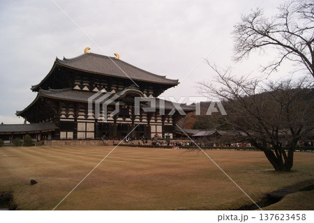 奈良の東大寺と冬の情景が広がる朝 奈良の東大寺と冬の情景が広がる朝 137623458