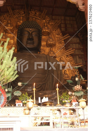 東大寺大仏の正面からの詳細な写真 東大寺大仏の正面からの詳細な写真 137623460