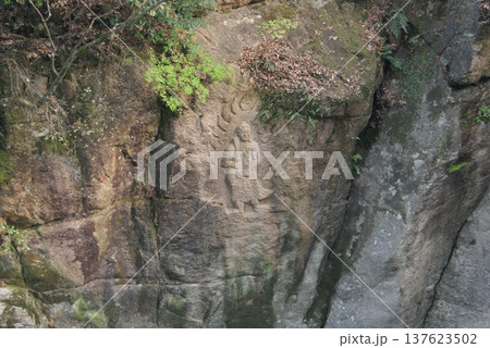 森林の岩に刻まれた古代の仏像彫刻 137623502