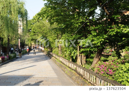 木々が並ぶ遊歩道で人々が散策する風景 木々が並ぶ遊歩道で人々が散策する風景 137623504