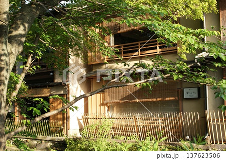 木々に囲まれた伝統的な和風建築 木々に囲まれた伝統的な和風建築 137623506