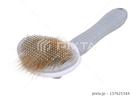 Gray pet slicker brush with ergonomic handle and metal teeth filled with combed pet hair Gray pet slicker brush with ergonomic handle and metal teeth filled with combed pet hair 137625384