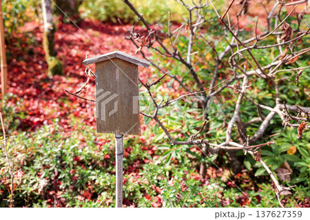 Empty retro wooden billboard in the autumn park. Signboard made of wood with space for text and graphics. 137627359