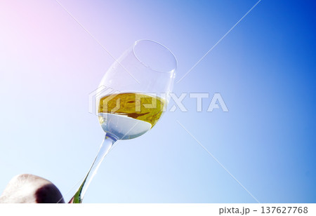 White wine in wineglass on on blue sky background. Glass of wine on blue sky. Tasting white wine White wine in wineglass on on blue sky background. Glass of wine on blue sky. Tasting white wine 137627768