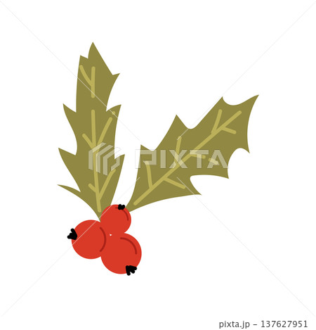 Holly Berry Christmas Decoration 137627951