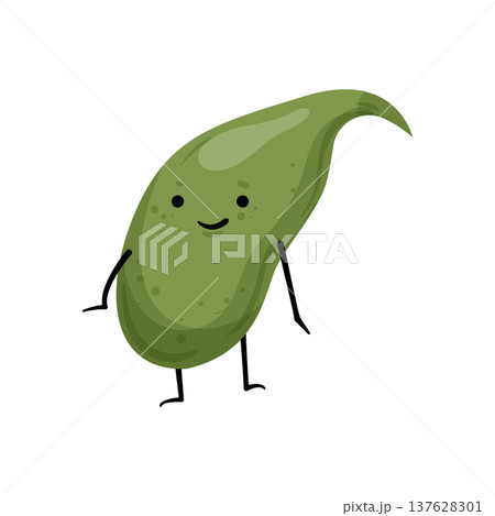 Healthy Gallbladder Healthy Gallbladder 137628301